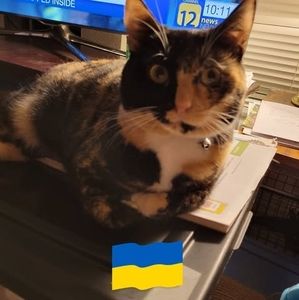 Meet your Posher, Wendy